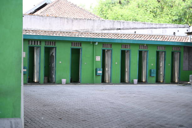 Best Local porta potty services  in Dodson Branch, TN